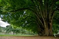 0204Abbaye de Noirlac